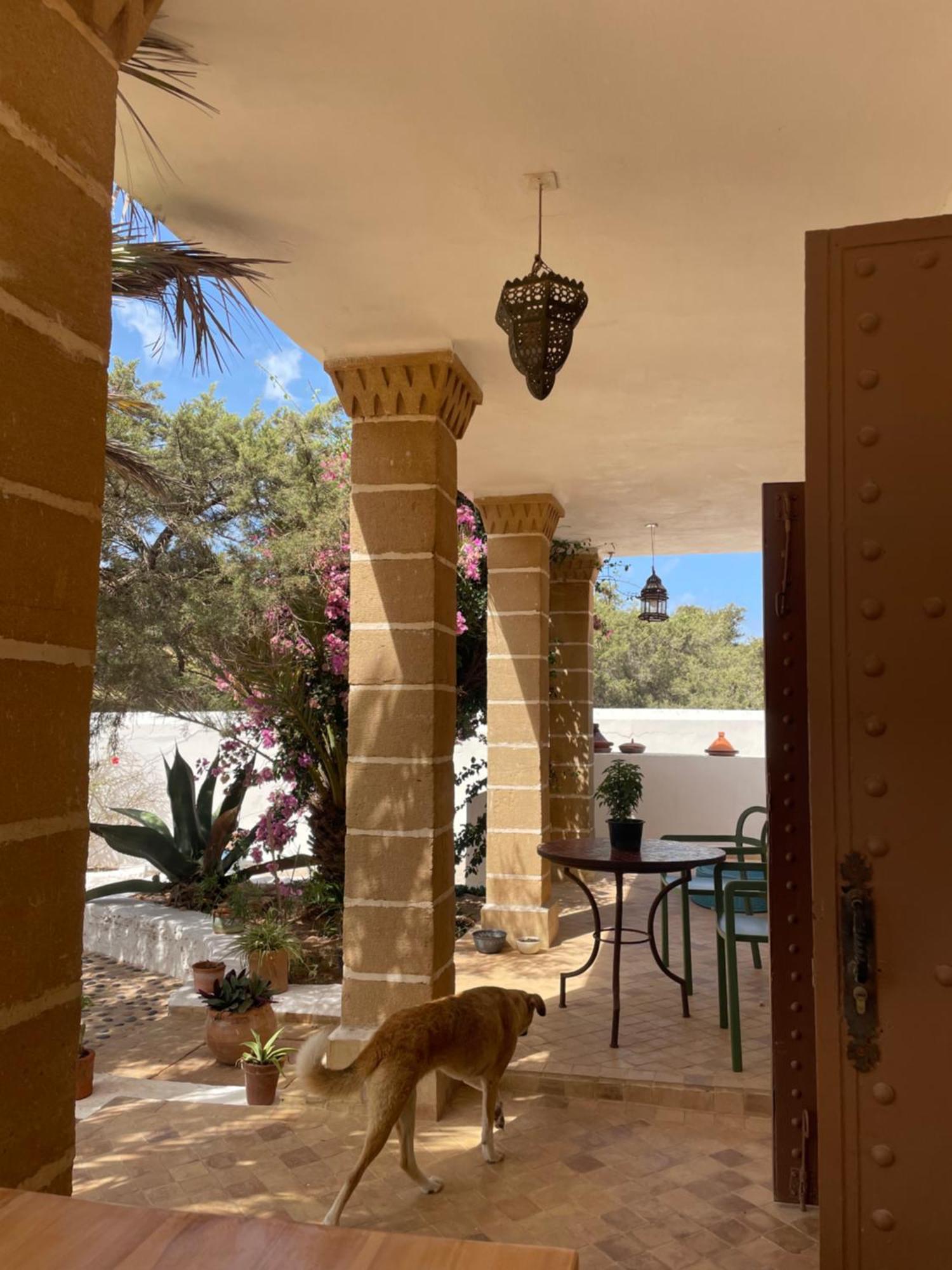 Hotel Villa Soleil سيدي كاوكي المظهر الخارجي الصورة