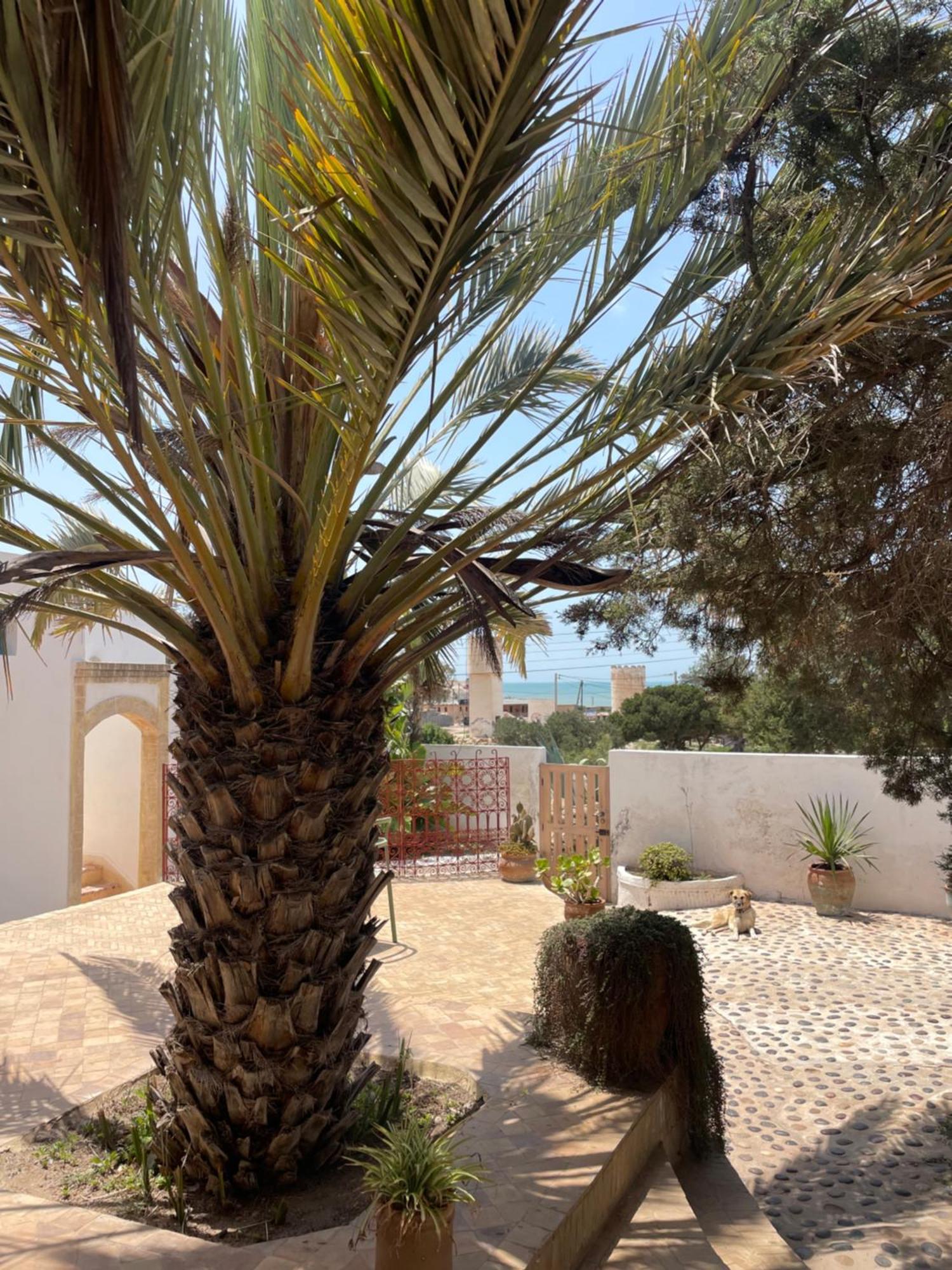 Hotel Villa Soleil سيدي كاوكي المظهر الخارجي الصورة