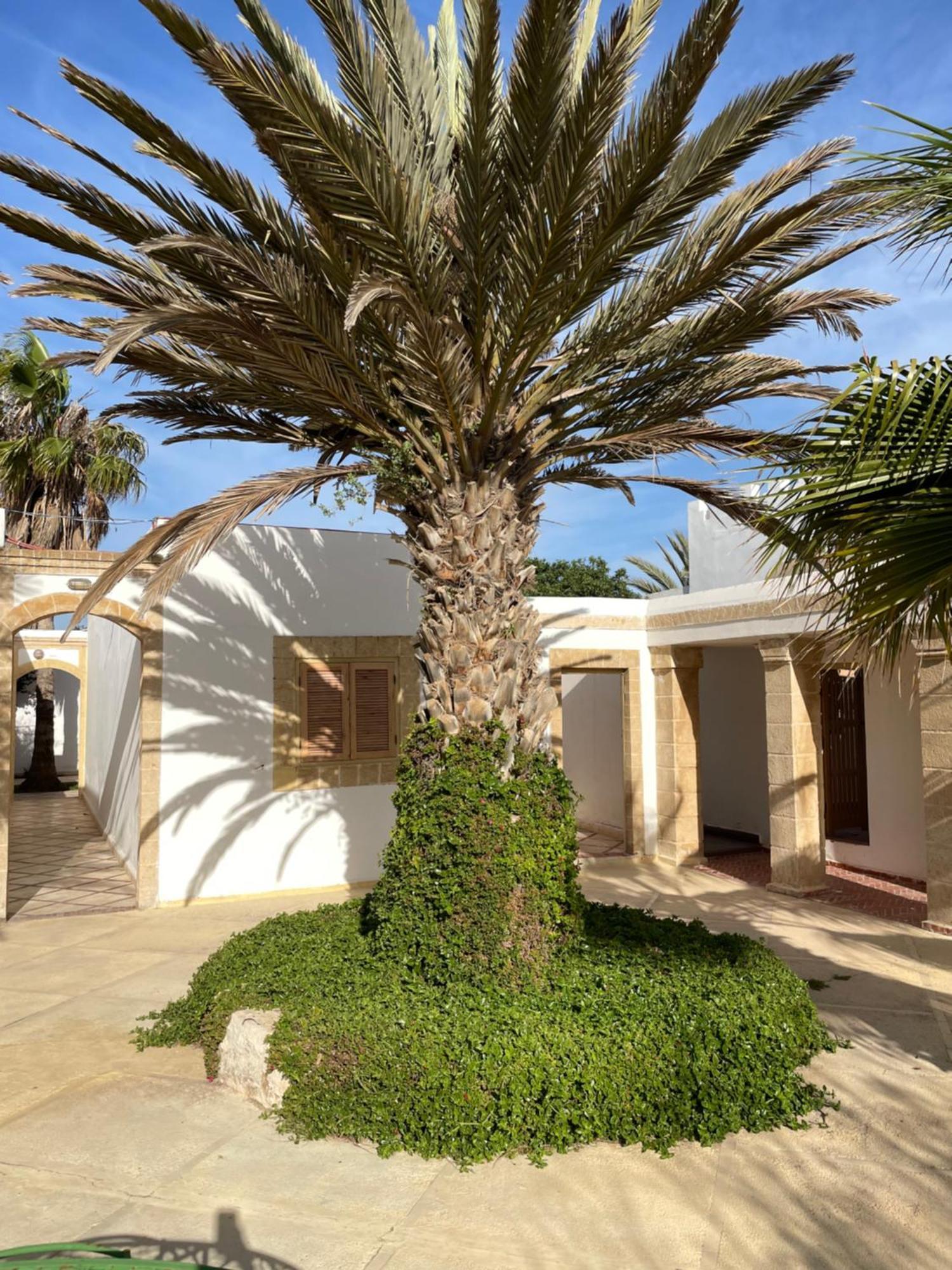 Hotel Villa Soleil سيدي كاوكي المظهر الخارجي الصورة